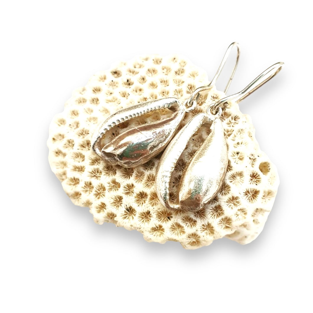 Cowrie earrings