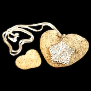 Sea Star