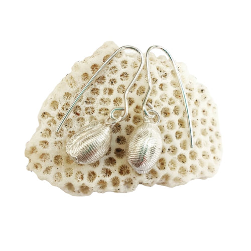 Small cowrie earrings