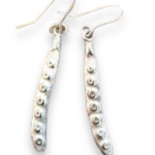 Load image into Gallery viewer, Seed pod earrings